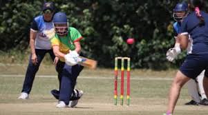 Image result for Shepherdswell Cricket Club
