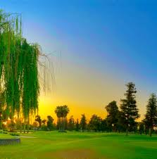 Image result for Belmont Scrabble Club