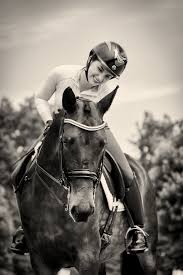 Image result for Fisher Equestrian