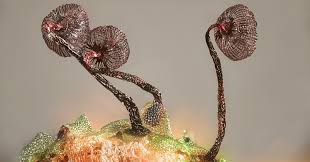 Attēlu rezultāti vaicājumam “Cribraria cancellata young”