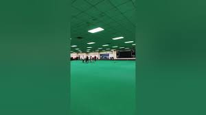 Image result for Adur Indoor Bowls Club