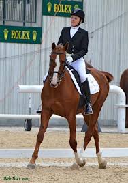 Image result for Annandale Equestrian Centre