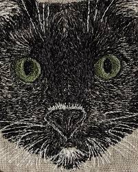 Image result for Black Cat Sac