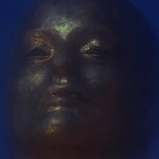 Attēlu rezultāti vaicājumam “Fuligo licentii young”