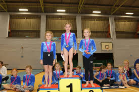 Image result for Farnham Gymnastics Club