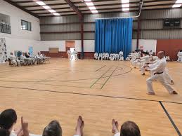 Image result for Twyford Higashi Karate Club