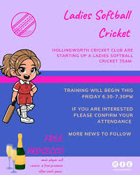 Image result for Hollingworth Cricket Club