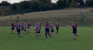 Image result for Royston Rufc