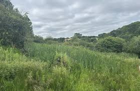 Image result for Hinksey Heights Golf Club