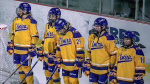 Image result for Norwich Dragons Hockey Club