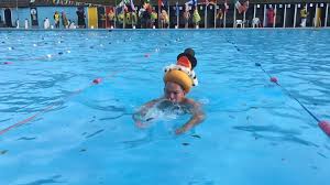 Image result for South London Swimming Club