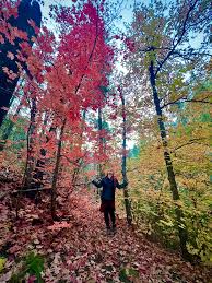 Image result for $$fall_akte__ort$$