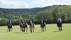 Image result for Taunton Vale Polo Club