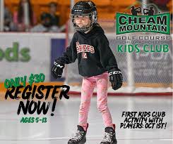 Image result for Cheam Hockey Club