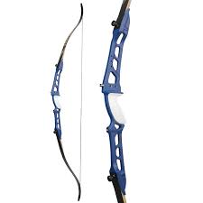 Image result for Blue Arrows Archery Club