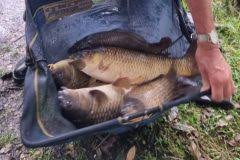 Image result for Plough Angling Society