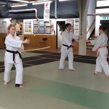 Image result for Aikido - Shobu UK