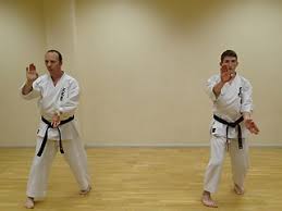 Image result for Mickleham Seiki Juku Karate Club