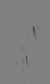 Attēlu rezultāti vaicājumam “Amaurochaete fusiformis spores”