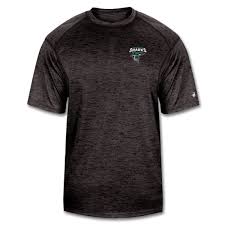 Image result for Chichester Sharks