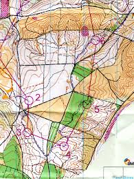 Image result for Walton Chasers Orienteering Club