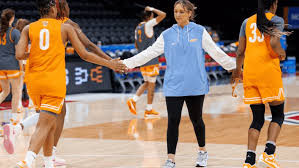 Image result for Hinckley & Bosworth Lady Hoops Basketball Club