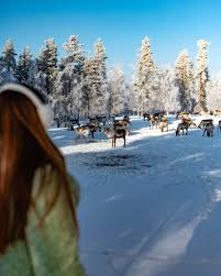 Image result for Laplandit-(Ce)