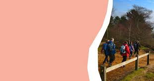 Image result for Surrey Heath Slammers