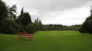 Image result for Abernethy Golf Club