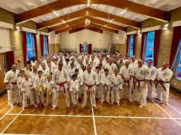 Image result for Aylesbury Vale Seido Karate