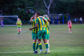 Image result for Ottershaw Girls Fc