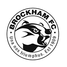 Image result for Bookham Football Club