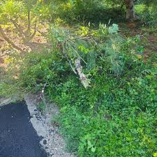 Image result for Lostwithiel Smbc