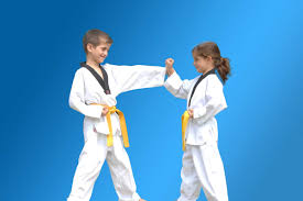 Image result for Mickleham Seiki Juku Karate Club