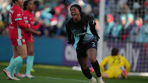 Image result for Gotham Soccer League