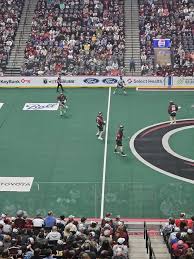 Image result for Go Mammoth