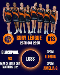 Image result for Blackpool Panthers