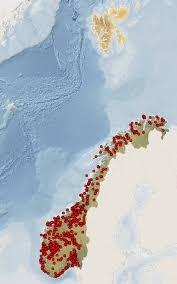 Attēlu rezultāti vaicājumam “Trachyspora intrusa”