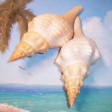 Image result for Triplofusus giganteus