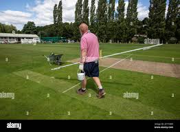 Image result for Henley Cricket Club