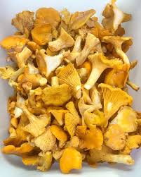 Attēlu rezultāti vaicājumam “Cantharellus cibarius”