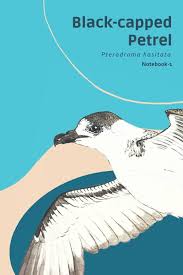 Image result for Pterodroma hasitata