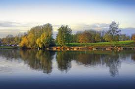 Image result for Trimpley Anglers Association
