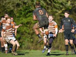 Image result for Southend Rugby Football Club Ltd