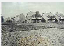 Image result for Newport (Salop) Cricket Club