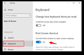 Image result for print screen