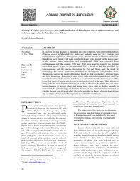 Attēlu rezultāti vaicājumam “Melampsora magnusiana”