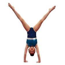 Image result for Torbay Olympic Gymnastics Club