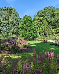 Image result for Arboretum Trompenburg
