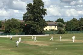 Image result for Wilmslow Wayfarers Cricket Club